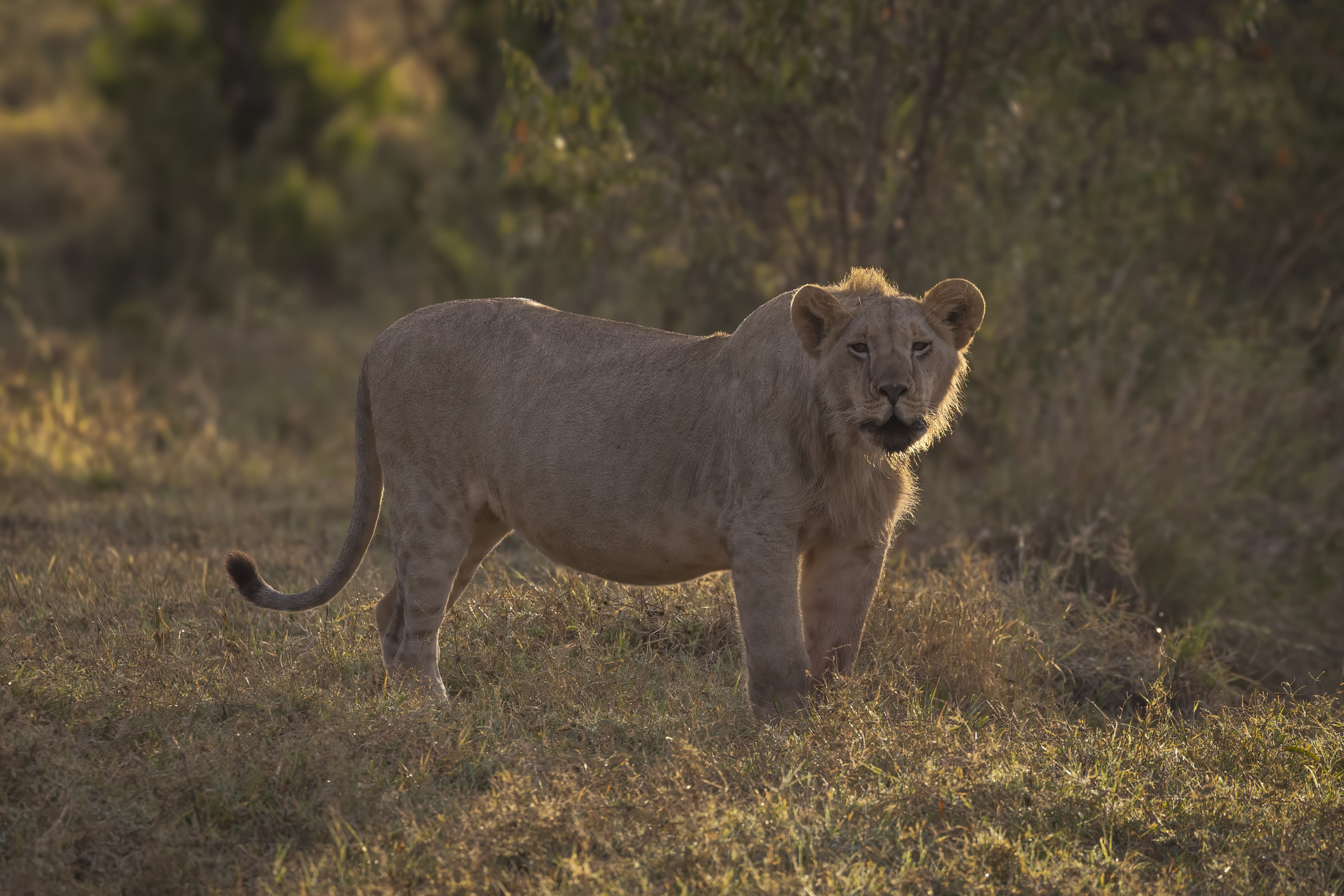 November 10, 2022-064147-2-Edit.jpg